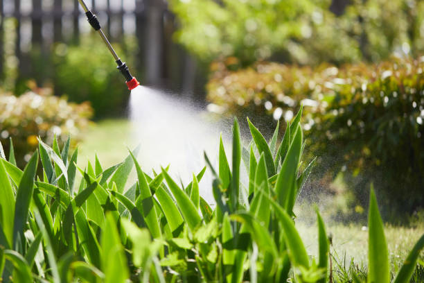 24/7 Emergency Wasp Removal experts in Villa Grove, IL