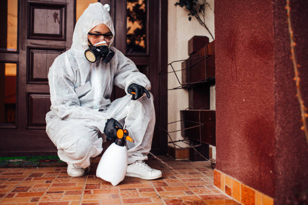 Reliable Wasp Removal contractor in Villa Grove, IL by Show Me Pest Control