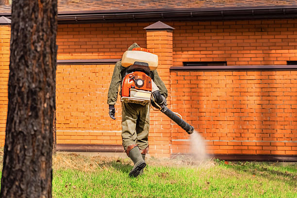 Top rated local Wasp Removal specialists in Villa Grove, IL